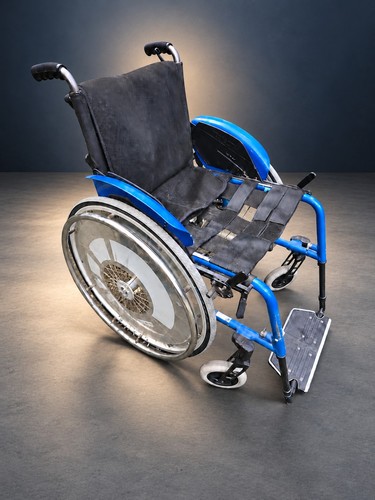 Pro activ traveller premium - pro,